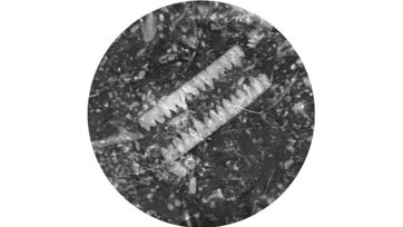 1600 24