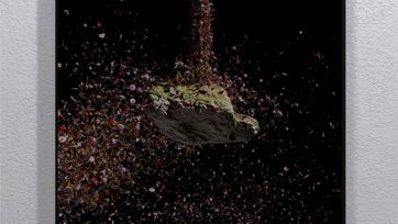 Stone Flower Bulle1600 (1)