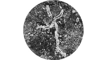 1600 12