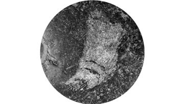 1600 20