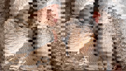 Lillemoon Afbeelding 1