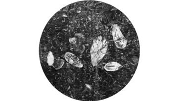 1600 10