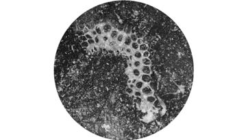 1600 7