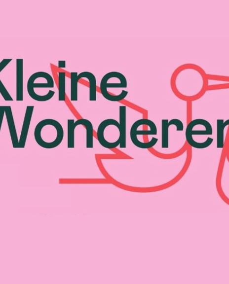 Kleine Wonderen Zonder Ondertitel