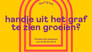 1 1 8 Vragen Carousel Pars Copy 2