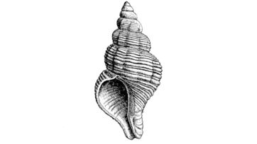 160011~1