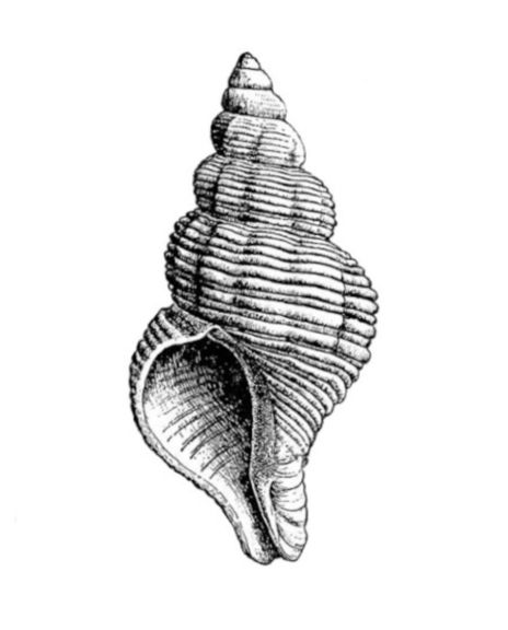 160011~1